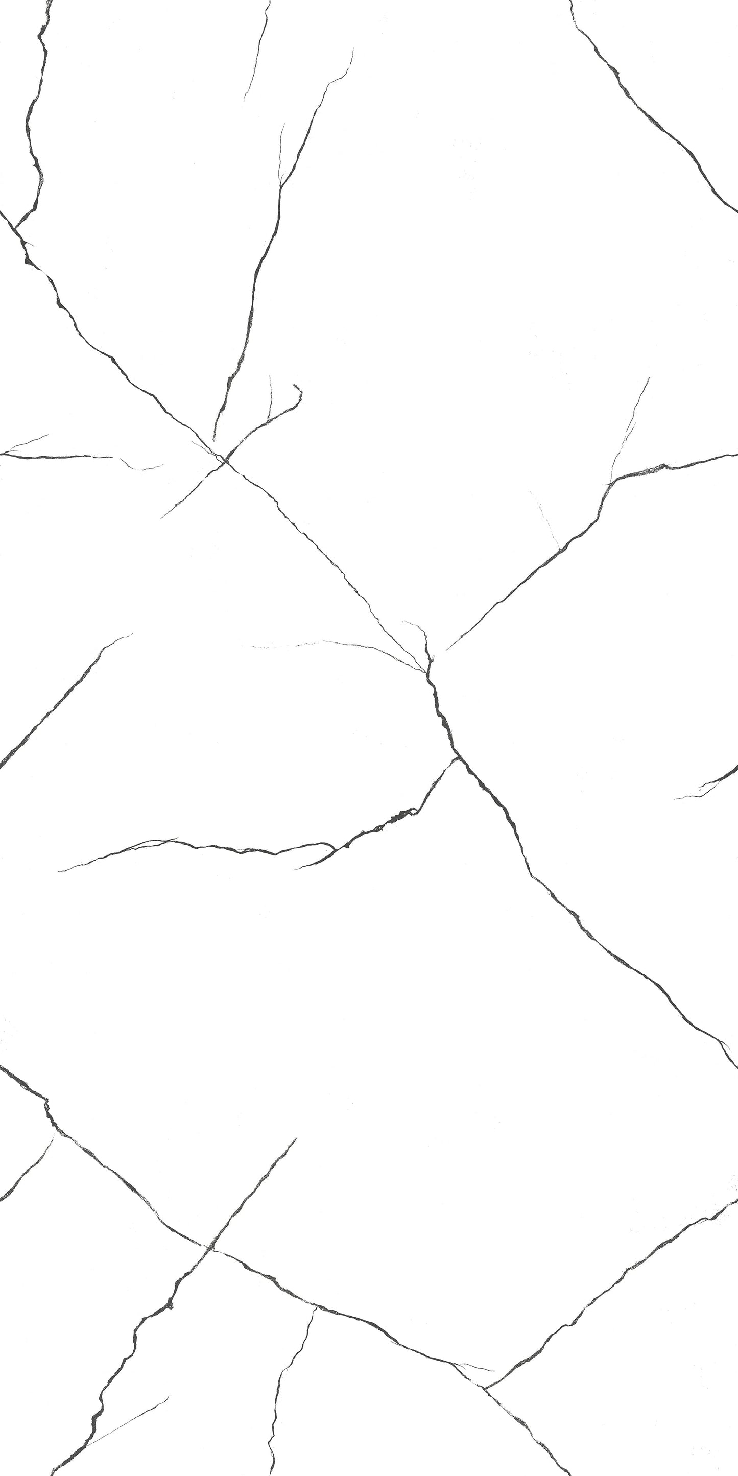 Renoz 24 X 48" White Heaven Tile