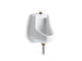 Kohler Darfield Washdown Wall-mount 1/2 Gpf Urinal With Top Spud and Bottom Outlet for Exposed P-trap