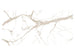 MSI Stile Statuario Gold Porcelain Slab Matte 12mm 63