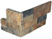 GOLD RUSH LEDGER CORNER