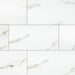 MSI Aria Bianco Polished Porcelain Tile 24
