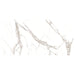 MSI Stile Statuario Bari Porcelain Slab Matte 6mm 63