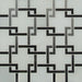 MSI Backsplash and Wall Tile Blanco Lynx Geometric Polished Marble Tile