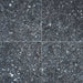 MSI Blue Pearl Silver Granite Polished 12