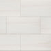 MSI Eden Dolomite Polished Porcelain Tile 12