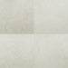 MSI Legend White Matte Porcelain Tile 20
