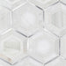 MSI Backsplash and Wall Tile Medici Silver Pattern Tile