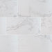 MSI Praia Carrara Matte Porcelain Tile 24