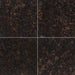 MSI Tan Brown Granite Polished 12