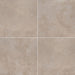 MSI Tempest Beige Matte Ceramic Tile 18