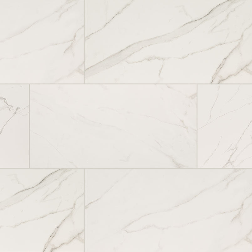 MSI Flooring Porcelain Tile Calacatta Venato 24" x 24" Polished