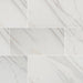 MSI Calacatta Polished Porcelain Tile 12