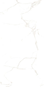 Renoz 24 X 48