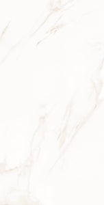 Renoz 24 X 48