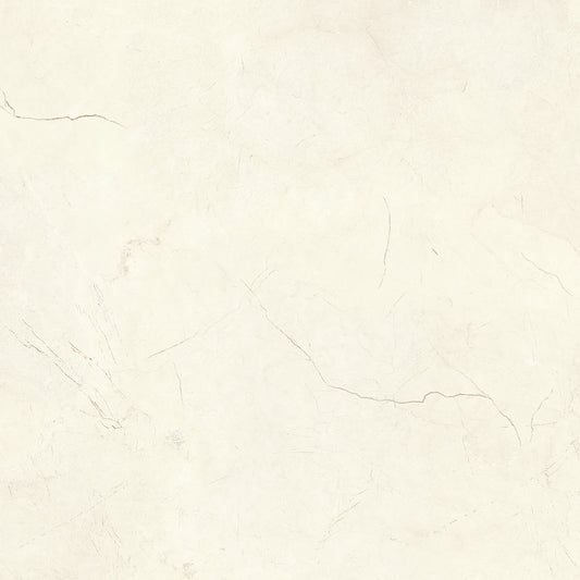 Renoz 24x24" Glossy Burberry Tile