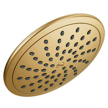 Moen One-Function 8
