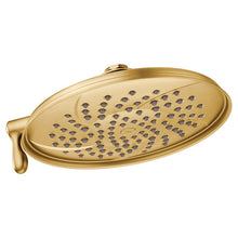 Moen Two-Function 9