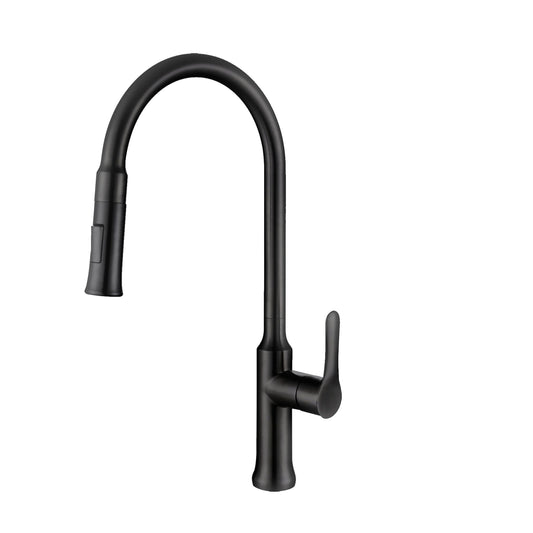 Stylish Forli 18.5" Kitchen Faucet Single Handle Pull Down Dual Mode Stainless Steel Matte Black Finish K-137N