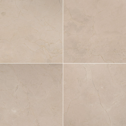 MSI Crema Marfil Select Marble Tile Polished 24" x 24" 2cm
