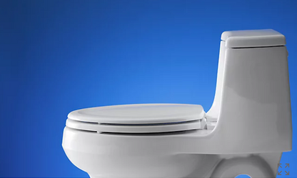 Kohler Stonewood Elongated Toilet Seat - White