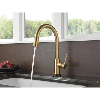 Delta TRINSIC Single Handle Pull-Down Kitchen Faucet with Touch2O Technology- Champagne Bronze