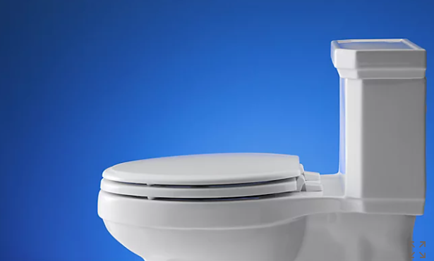 Kohler Ridgewood Elongated Toilet Seat - White