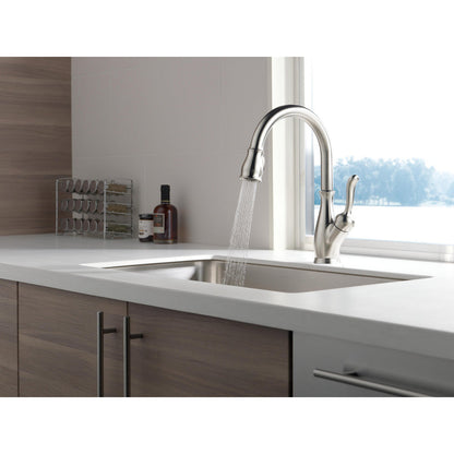 Delta LELAND Single Handle Pull-Down Kitchen Faucet with ShieldSpray Technology- Spotshield Stainless