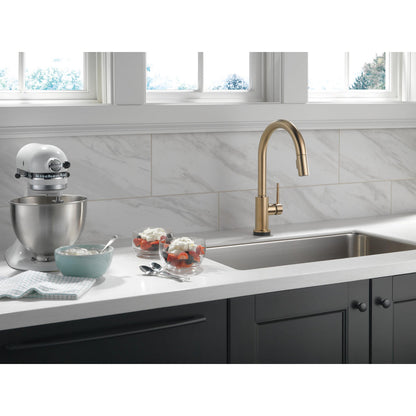 Delta TRINSIC Single Handle Pull-Down Kitchen Faucet with Touch2O Technology- Champagne Bronze