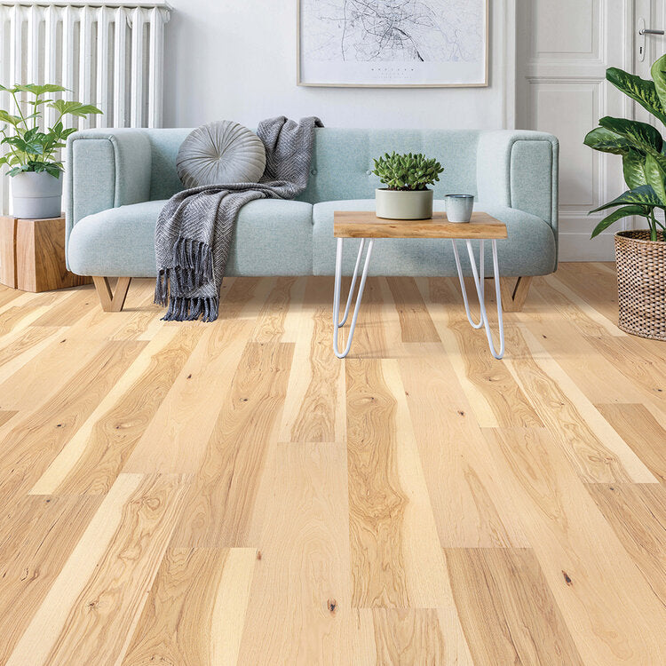 Next Floor - Shipshape Forest Hill Flooring
