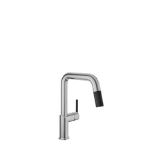 Baril Single Hole Kitchen Faucet With 2 Jet Pull-out Spray (VISION IV 9550-22l)