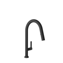 Baril  High Single Hole Kitchen Faucet With 2 Jet Pull-out Spray (H16 ARTE)