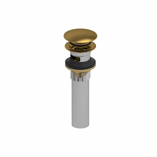 Riobel Push Drain With Overflow - Brushed Gold