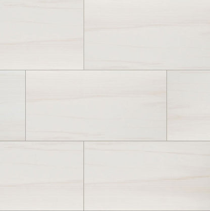 MSI Eden Dolomite Polished Porcelain Tile 12" x 24"