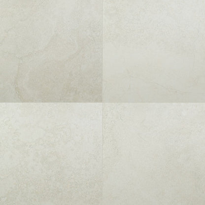 MSI Legend White Matte Porcelain Tile 20" x 20"