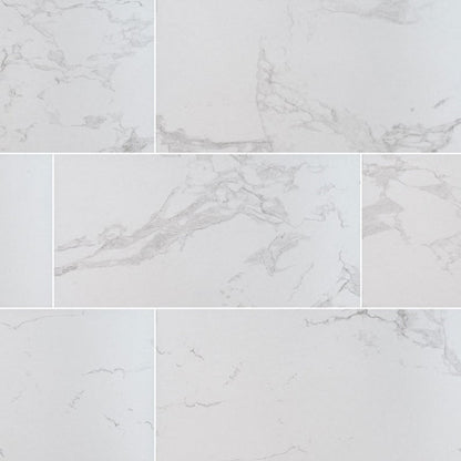 MSI Praia Carrara Porcelain Tile Polished 24" x 48"