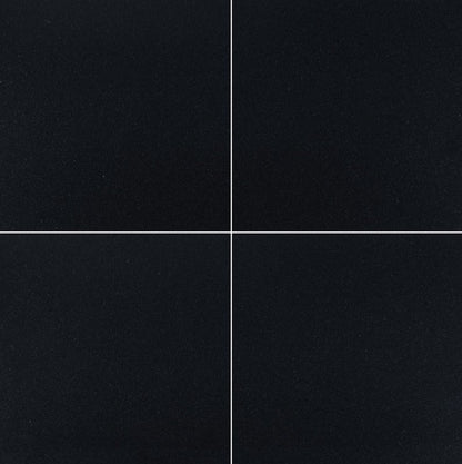 MSI Premium Black Granite Tile Honed 12" x 12"