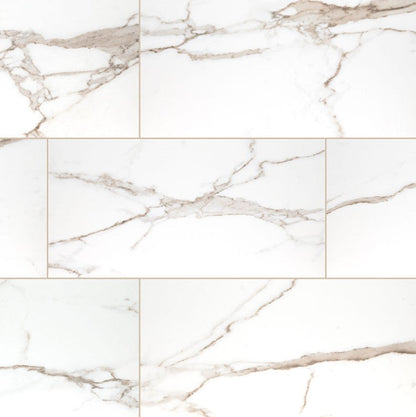MSI Savoy Cream Porcelain Tile Matte 12" x 24"