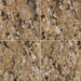 MSI New Venetian Gold Granite Tile Polished 12