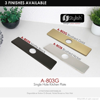 Stylish Kitchen Faucet Plate (A-803G)