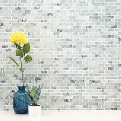 MSI Backsplash and Wall Tile Carrara Classique Honed Brick Tile
