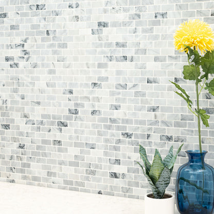 MSI Backsplash and Wall Tile Carrara Classique Honed Brick Tile
