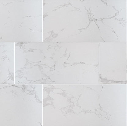 MSI Praia Carrara Matte Porcelain Tile 12" x 24"