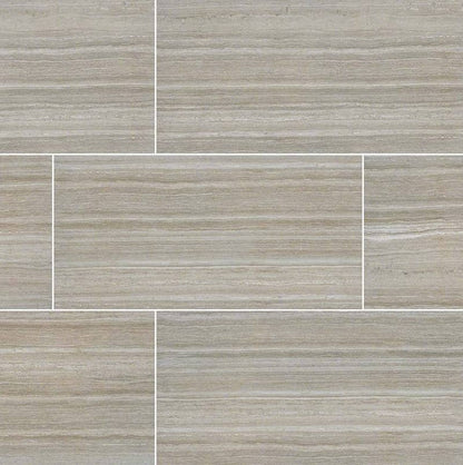 MSI Essentials Charisma Silver Matte Ceramic Tile 12" x 24"