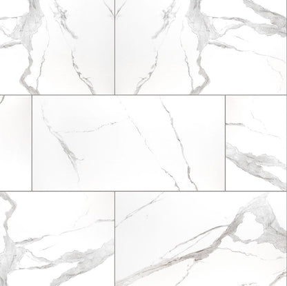 MSI Eden Statuary Polished Porcelain Tile 12" x 24"