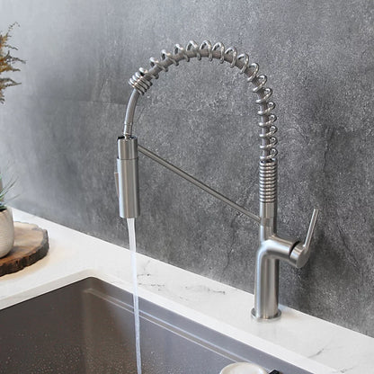 Stylish Tivoli Single Handle Pull Down Kitchen Faucet Brushed Finish K-149S