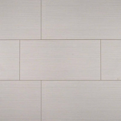 MSI Glaicier Focus Matte Porcelain Tile 12" x 24"