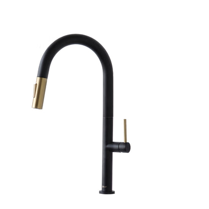 Stylish Catania Single Handle Pull Down Kitchen Faucet